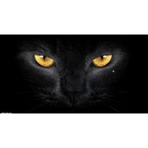 Чехол на запасное колесо КОШКА 235*70*16