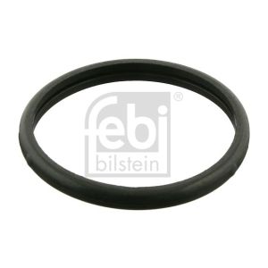 Прокладка термостата FEBI 10260/6012030076/400690