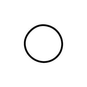 Кольцо уплотнительное ТНВД к лобовине двигателя NOK CO0220L8/MF520601    4M40