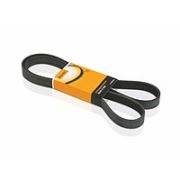 Ремень генератора 8PK2155  CUMMINS дв.2.8