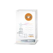 Лампа галогенная SVS HB3 12V 60W P20d Standard +30,1 шт 0200009000