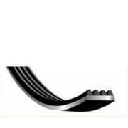 Ремень поликлиновый DONGIL 3PK-750