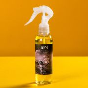 Ароматизатор-спрей ION Vanilla, 150 мл, IL-02
